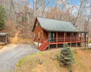 18 Little Peanut, Sylva image