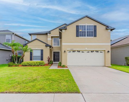 14100 Morning Frost Drive, Orlando