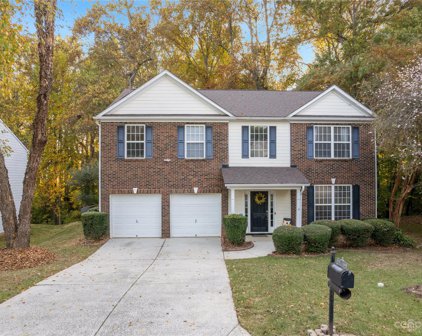 11113 Chastain Parc  Drive, Charlotte