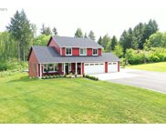 12004 NE 399TH ST, Amboy image