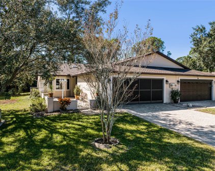 46 Big Buck Trail, Ormond Beach