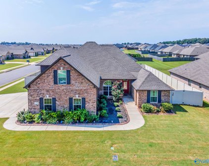 13731 Arbor Ridge, Madison