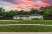 15616 Woodway Drive, Tampa image