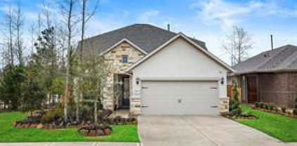 103 Wild Wisteria Lane, Montgomery