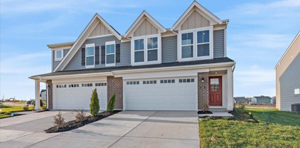 103 Exploration Path Unit 61B, Shelbyville