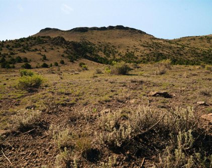 Tract 37 Pronghorn, Del Norte