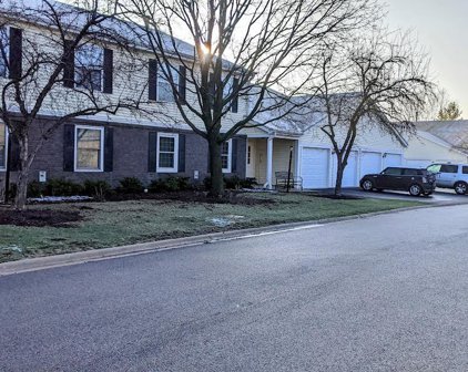 652 Mallard Court Unit #D2, Bartlett
