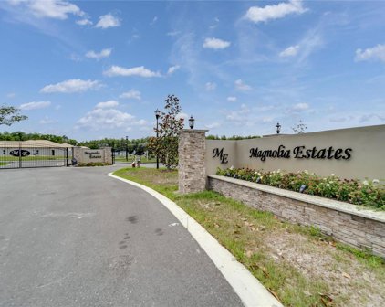 233 Magnolia Acres Court, Lutz