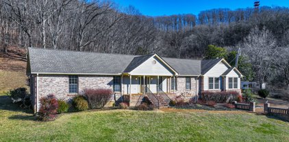 1002 Holly Tree Gap Rd, Brentwood