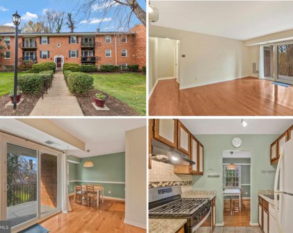 3846 Lyndhurst Dr Unit #302, Fairfax