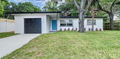 1323 Lady Marion Lane, Dunedin