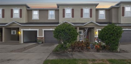 1506 Merlot Court, Oldsmar