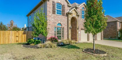 1112 Cactus Spine  Drive, Fort Worth