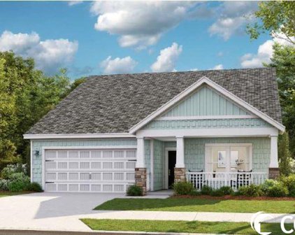 127 Albatross Way, Myrtle Beach