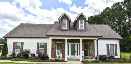 294 Saddle Lake Drive, Williamson