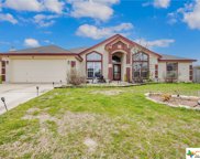 3810 Barbed Wire Drive, Killeen image
