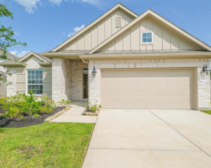 330 Riesling Drive, Alvin