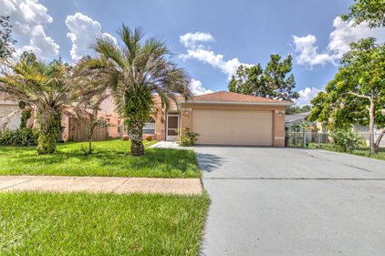 2236 Ridgemore Drive, Valrico