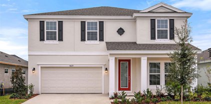 6031 Hidden Branch Drive, Apollo Beach