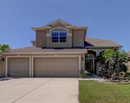 1710 Mira Lago Circle, Ruskin