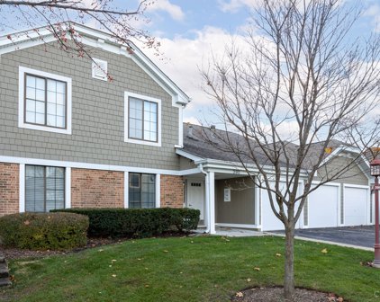 390 Thornhill Court Unit #C1, Schaumburg
