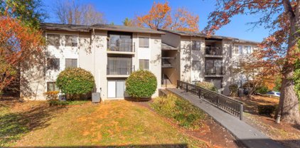 46 Spring Ct, Charlottesville