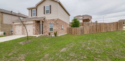 6184 Dahlia, New Braunfels