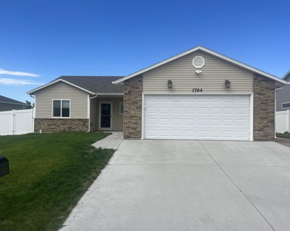 1794 Arizona, Pocatello