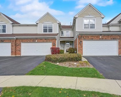 509 Cherry Hill Court, Schaumburg