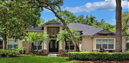 6227 Wild Orchid Drive, Lithia