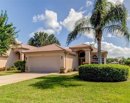 1181 Lindenwood Drive, Tarpon Springs