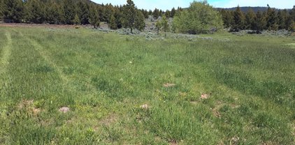 #8 Tract 8, 160 Acres +/-, Helmville