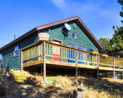 1040 Sheep Ridge  Road, Fairplay