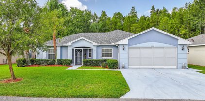 10753 Duck Hook Court, San Antonio
