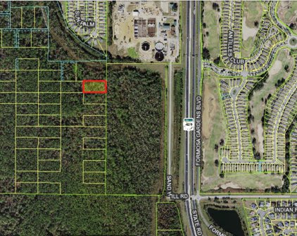 Sweetwater Trail, Kissimmee