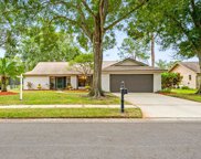 3519 Fairway Forest Drive, Palm Harbor image