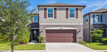 30343 Larimar Lane, Wesley Chapel