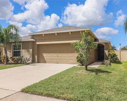10301 Boggy Moss Drive, Riverview