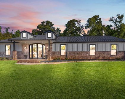 1746 Opal Trail, Willis