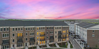 42607 Nubbins Terrace, Ashburn