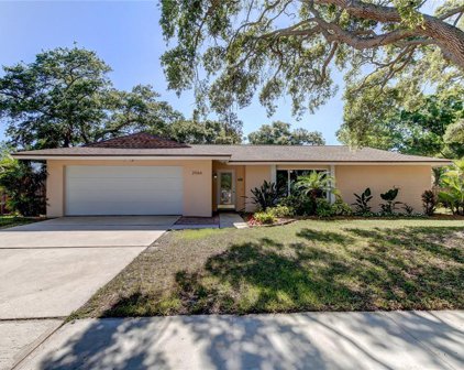 2066 Nugget Drive, Clearwater