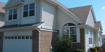 1205 Telluride Unit #1205, Bartlett