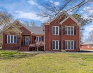 149 Springside Path, Harvest image