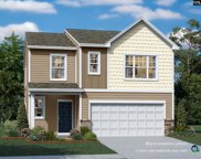104 Winding Pine Ct Court, Elgin image