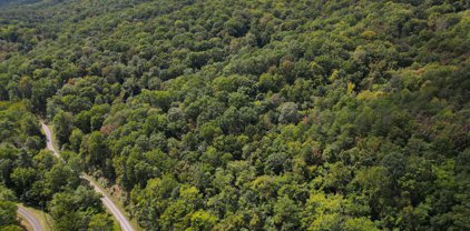 Lot 59 Bluffs Rd, Springfield