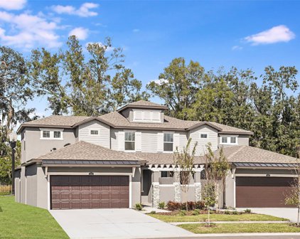 273 Villa Corte Drive, Lutz