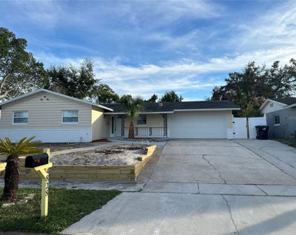 4828 Judy Ann Court, Orlando