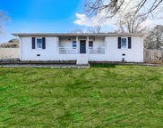 175 Cornett Way, Ball Ground image