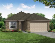 8352 Horned Maple  Drive, Fort Worth image