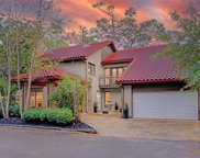 15 W Shady Lane Unit E, Houston image